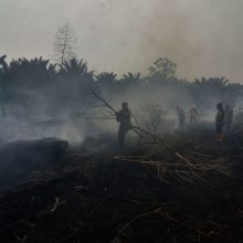 Indonezijoje dėl dūmų atšaukta keliasdešimt skrydžių