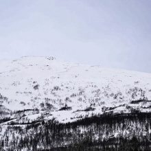 Norvegijoje sniego griūtis pareikalavo trijų slidininkų gyvybių