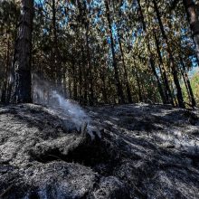 Kolumbiją niokoja gaisrai, Bogotoje uždaryti parkai ir pėsčiųjų takai
