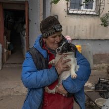 Rusijai pradėjus naują puolimą, savanoriai Ukrainoje evakuoja šunis