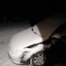 Lietuvoje bobų vasarą pakeitė sniegas