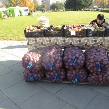 Kaunietis: kodėl Kauno turguose taip stipriai skiriasi vaisių ir daržovių kainos?