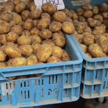 Pirkėjams – smagios naujienos: turguje atpigo bulvės, agurkai, trešnės