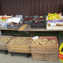 Pirkėjai patenkinti: pagaliau turguje bulvių ir agurkų kainos patrauklios