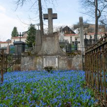 Bernardinų kapinėse – mėlynų gėlių jūra
