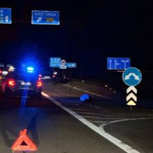 Per avariją Klaipėdos rajone žuvo pėsčiasis