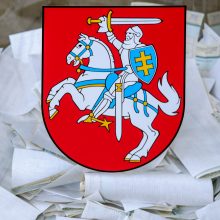 Socdemai skundžia teismui sprendimą sudaryti apygardą užsienio lietuviams