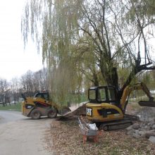 Kaunietis: laukiam nesulaukiam Draugystės parko rekonstrukcijos pabaigos