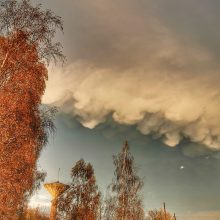 Lietuvoje – audra, ugniagesiai vyksta šalinti nuvirtusių medžių