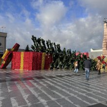 Marijampolėje dėl stipraus vėjo nuvirto miesto šventinė eglė