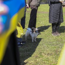 B. Nemcovo skvere įvyko akcija prieš Rusijos agresiją Ukrainoje