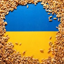 Ukraina teigia pateikusi ieškinį kaimynėms dėl grūdų importo draudimo 