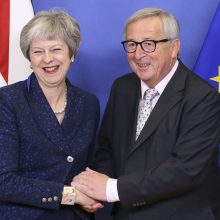 D. Tuskas: ES valstybių vadovai pritarė „Brexit“ susitarimo sąlygoms