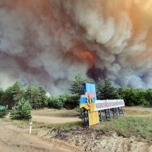 Ukrainos rytuose miško gaisras supleškino 110 namų, žuvo penki žmonės