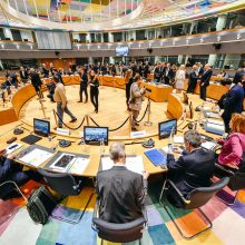 Viceministras: rengiant būsimąjį ES biudžetą turime užtikrinti jo kokybę
