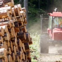 Pasirašomas susitarimas dėl medienos klasterio