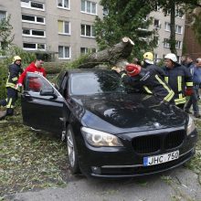 Nevaldoma situacija pajūryje: medžiai virto ant mašinų, vis dar ribojama laivyba