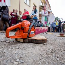 Protestas dėl medžių – su šūkiais „Kaunas kertasi!“ ir tylos minute