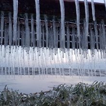 Išskirtinės ledo skulptūros Nidoje – geros naujienos Stintapūkio organizatoriams