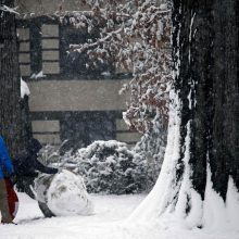 JAV šiaurės rytus užklupo pavasario pūgos