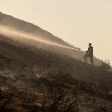 Šiaurės Anglijoje siaučia didžiulis miško gaisras