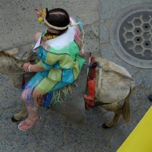 Asilų konkursą laimėjo koketiškos kaimietės kostiumu papuoštas gyvulys