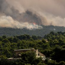 Atėnus apgaubė didelio miškų gaisro dūmai