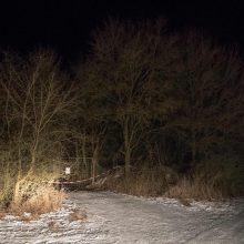 Vokietijoje po vakarėlio sode rasti šeši negyvi paaugliai