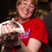Pusryčiai su graužikais: San Fransiske atidaryta „Žiurkių kavinė“