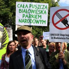 Lenkijos aktyvistai protestuoja dėl kertamos Belovežo sengirės