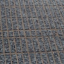Svaiginantys vaizdai: atšauktų „Volkswagen“ automobilių kapinės dykumoje
