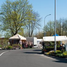 Pavasarinėje Kauno mugėje – dirbinių, siuvinių, skanėstų ir želdinių puokštė