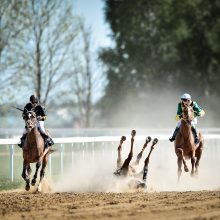 Žirgų lenktynės: 5 įdomūs faktai