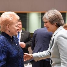 D. Grybauskaitė: Ukrainai reikia daugiau užsispyrimo vykdant reformas