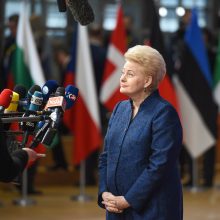 D. Grybauskaitė: pabėgėlių kvotų sistema – ne iki galo efektyvi