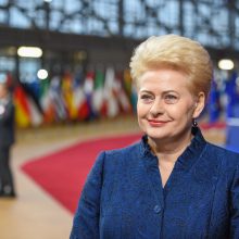 D. Grybauskaitė: pabėgėlių kvotų sistema – ne iki galo efektyvi