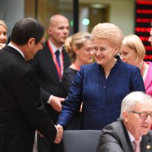 D. Grybauskaitė: pabėgėlių kvotų sistema – ne iki galo efektyvi