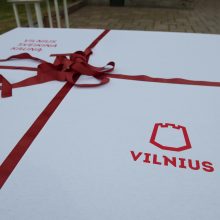 Vilnius sveikina Kauną: iš vaišių sudėlioti miesto simboliai