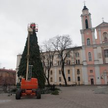 Baigiama išmontuoti Kauno Kalėdų eglė