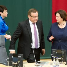 Seimas vėl svarstys Darbo kodekso pakeitimus, Pagalbinio apvaisinimo įstatymą