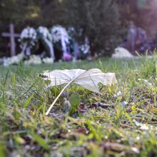 Vilniuje palaidotas sveikatos apsaugos ministras J. Požela