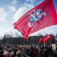 Lukiškių aikštėje Vilniuje iškelta didžiulė istorinė vėliava