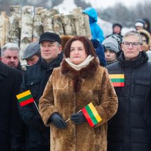 Gedimino pilies bokšte iškelta nauja Lietuvos vėliava