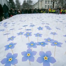 Lukiškių aikštėje – neužmirštuolių pieva Laisvės gynėjams