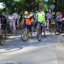 Pakeliui: keliaujant dviračių taku galima apžiūrėti unikalią dendrologinę Dubravos arboretumo kolekciją.