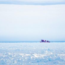 Antarktyje ledų nelaisvėje atsidūrusio rusų laivo gelbėjimas stringa