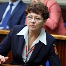 Kristina Vintilaitė, Klaipėdos savivaldybės Viešosios tvarkos skyriaus vedėja