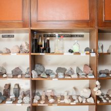 Moteris, įkūrusi akmenų muziejų, tiki, kad jie gyvi