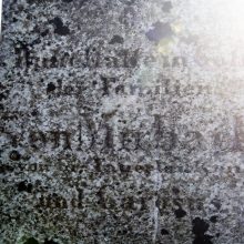 Garsenybė: Tauralaukio dvaro kapinaičių centre palaidotas dvaro savininkas E.fon Mirbachas – vienas masonų ložės „Memphis“ Klaipėdoje įkūrėjų.