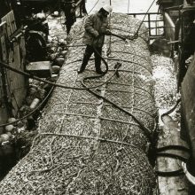 Užmojai: sovietų netenkino įprastu būdu pasaulio vandenyse kasmet sugaunamų šimtai tūkstančių tonų žuvų kiekiai, todėl ieškota būdų, kaip dar labiau išvystyti pramoninę žūklę.